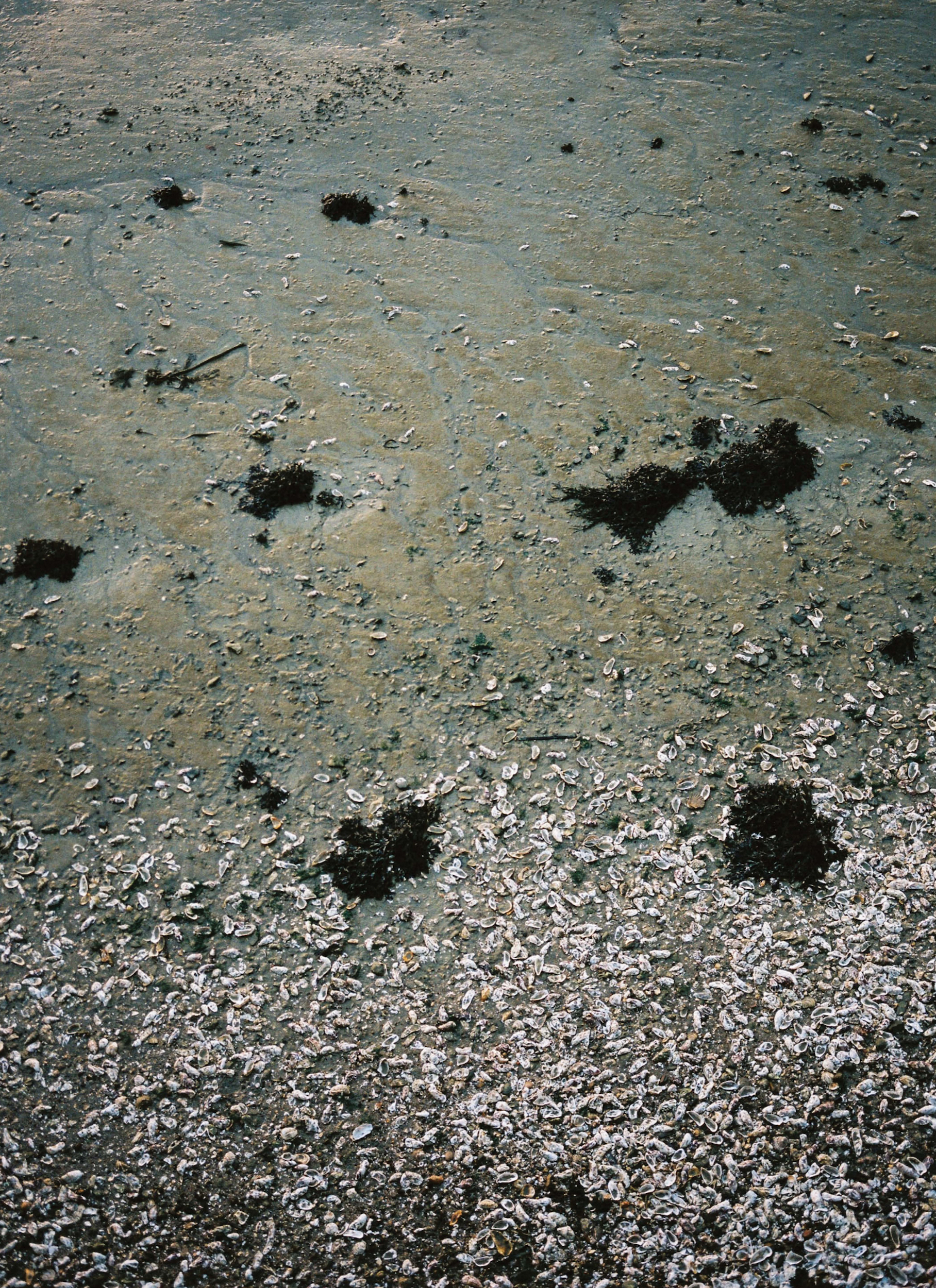 Cancale 10