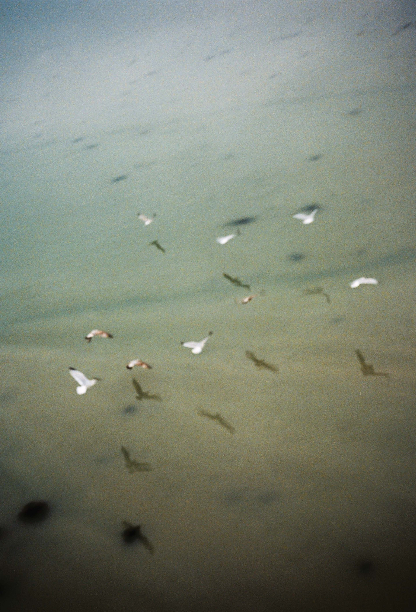 Cancale 15
