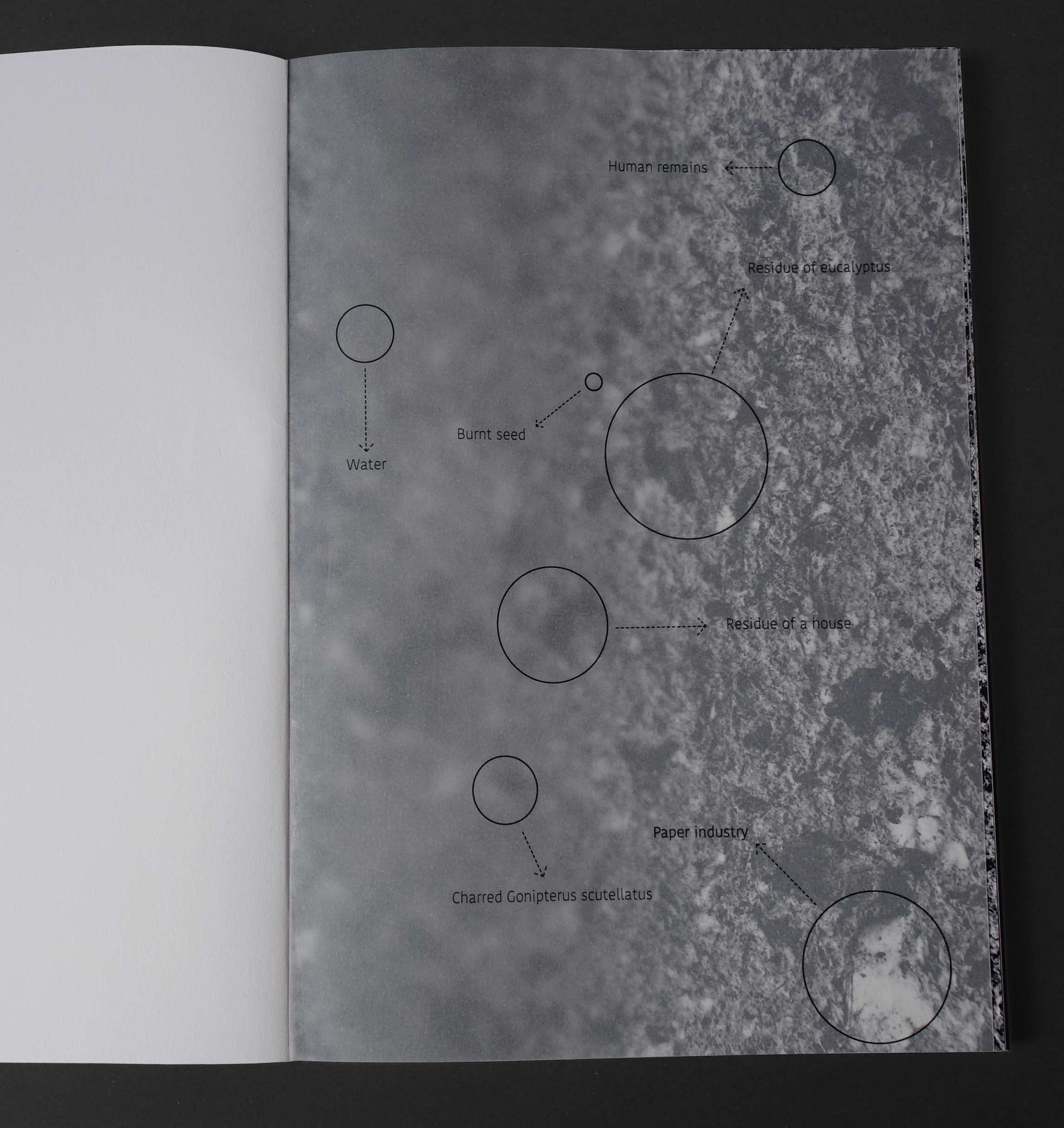 Ellen_Piot_Obelisco_Book Obelisco Book by Ellen Piot