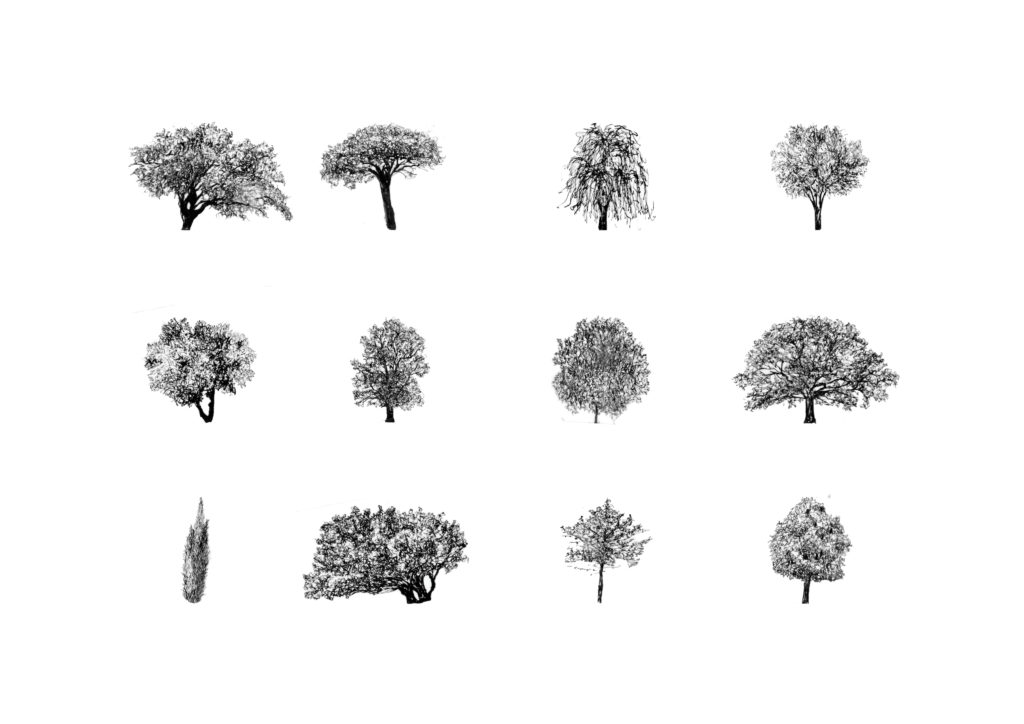 Ellen-Piot_Obelisco_Portuguese_Trees Portuguese Trees by Ellen Piot