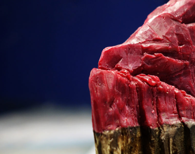 Open Mind Series - Pieremilio Gandini Prothese 01