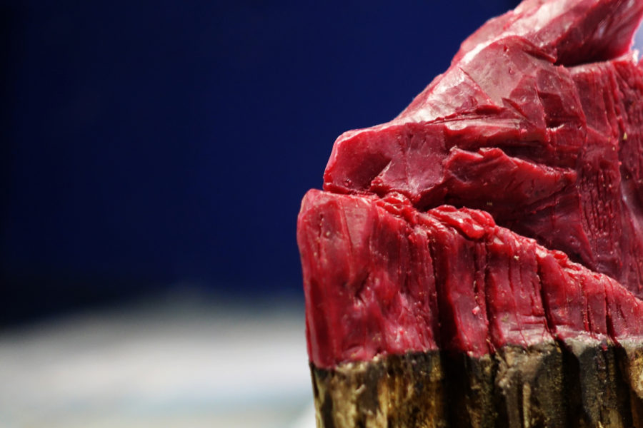 Open Mind Series - Pieremilio Gandini Prothese 01