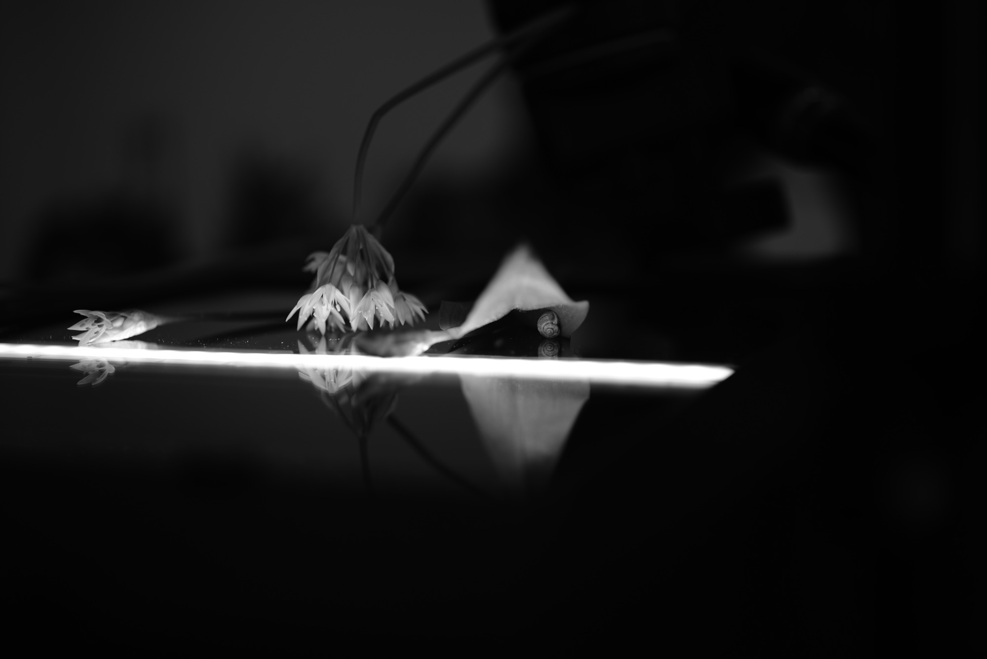 Infinite Mosaic Gallery_Performance_01 Detail of the Performace THE_VEGAN_SCANNING_PRINTING_COOKING_PROJECT, 2018