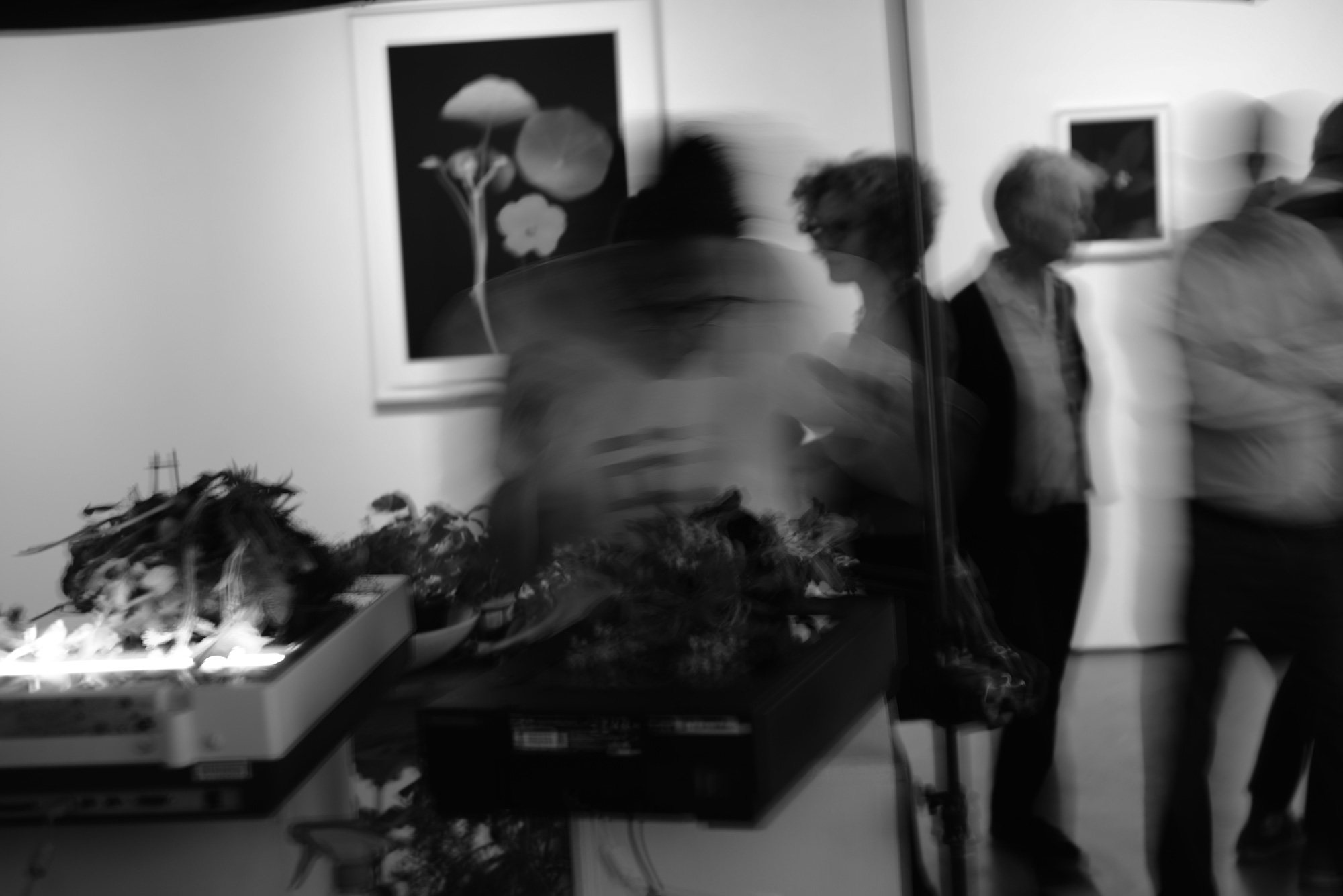 Infinite Mosaic Gallery_Portrait Detail of the Performace THE_VEGAN_SCANNING_PRINTING_COOKING_PROJECT, 2018
