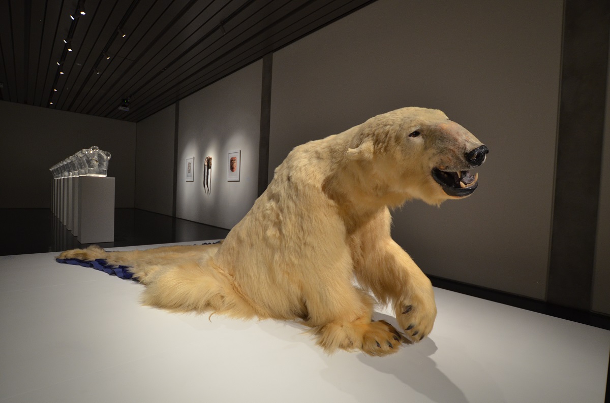 galanin-bear small