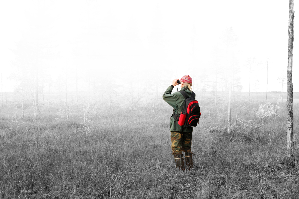 kiuru_vanishing_landscape_2