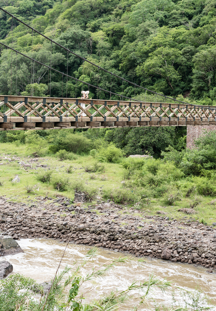 Rio Grande Santiago