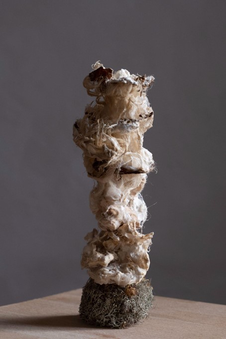 Image11