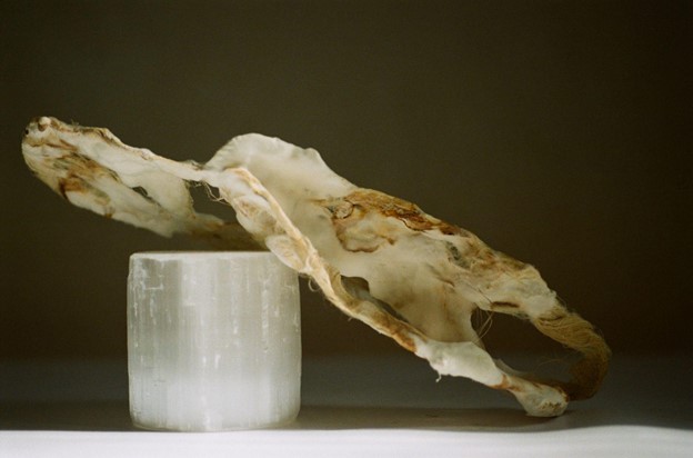 Image13
