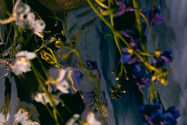 Image2