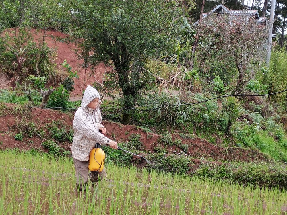 Art As A Healer - One Resilient Earth