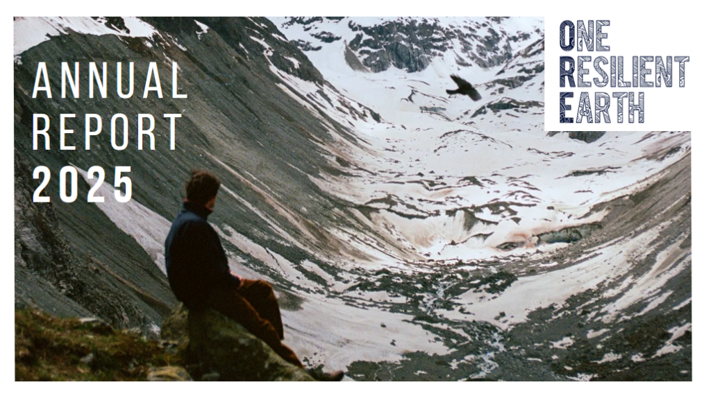 Screenshot Cover 2025 Annual report